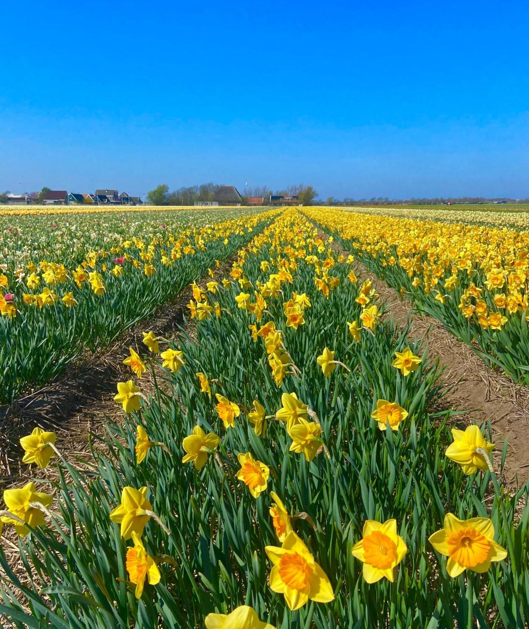 Sint MaartensvlotbrugDeining别墅 外观 照片